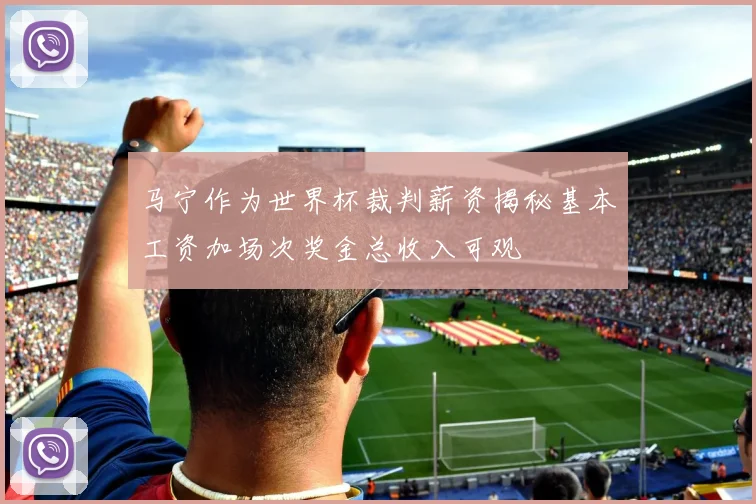马宁作为世界杯裁判薪资揭秘基本工资加场次奖金总收入可观